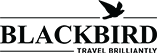 Blackbird Worlwide