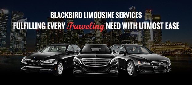 Blackbird Limousine Services