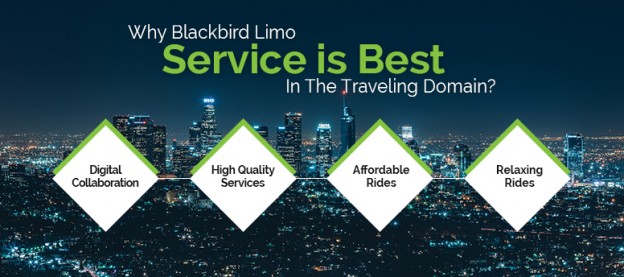 why-blackbird-limo-service-is-best-in-the-traveling-domain