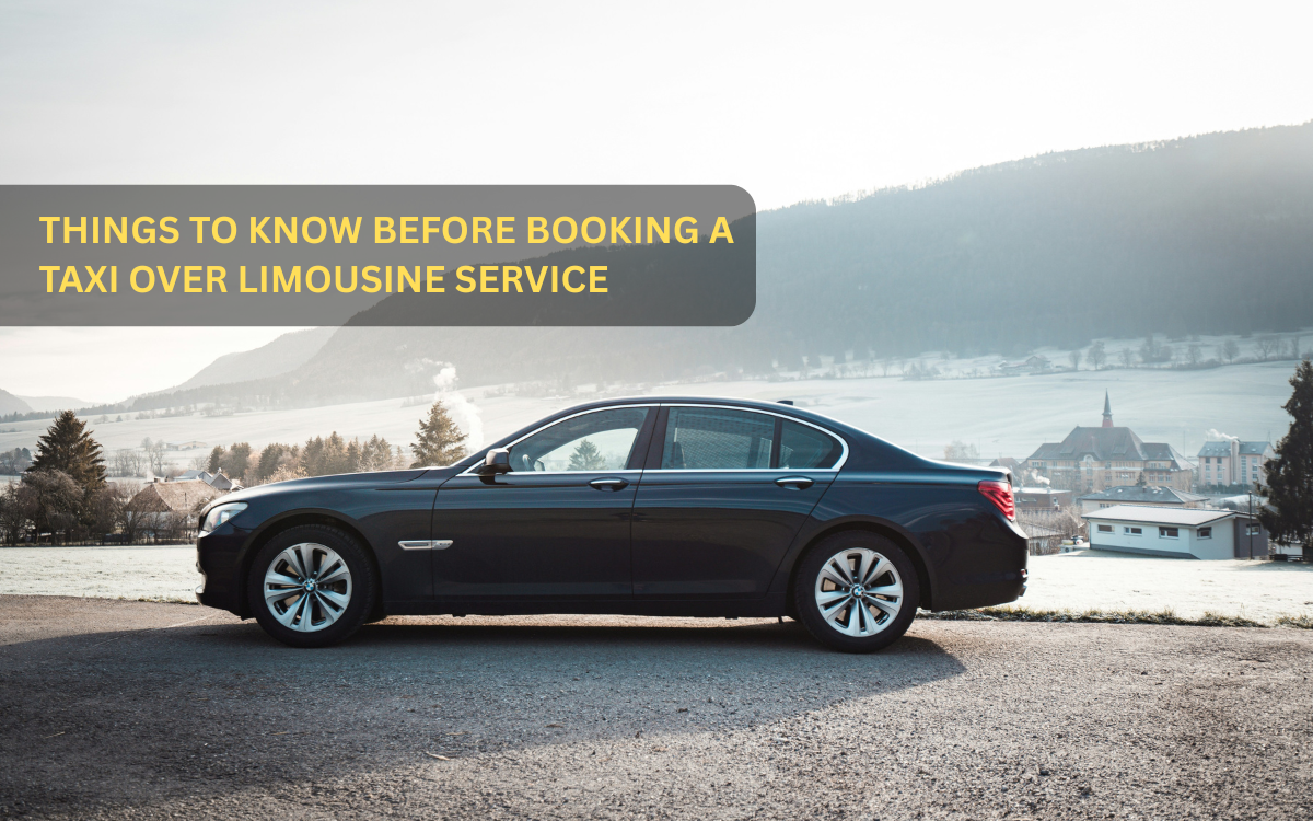 blackbird Limousine Service