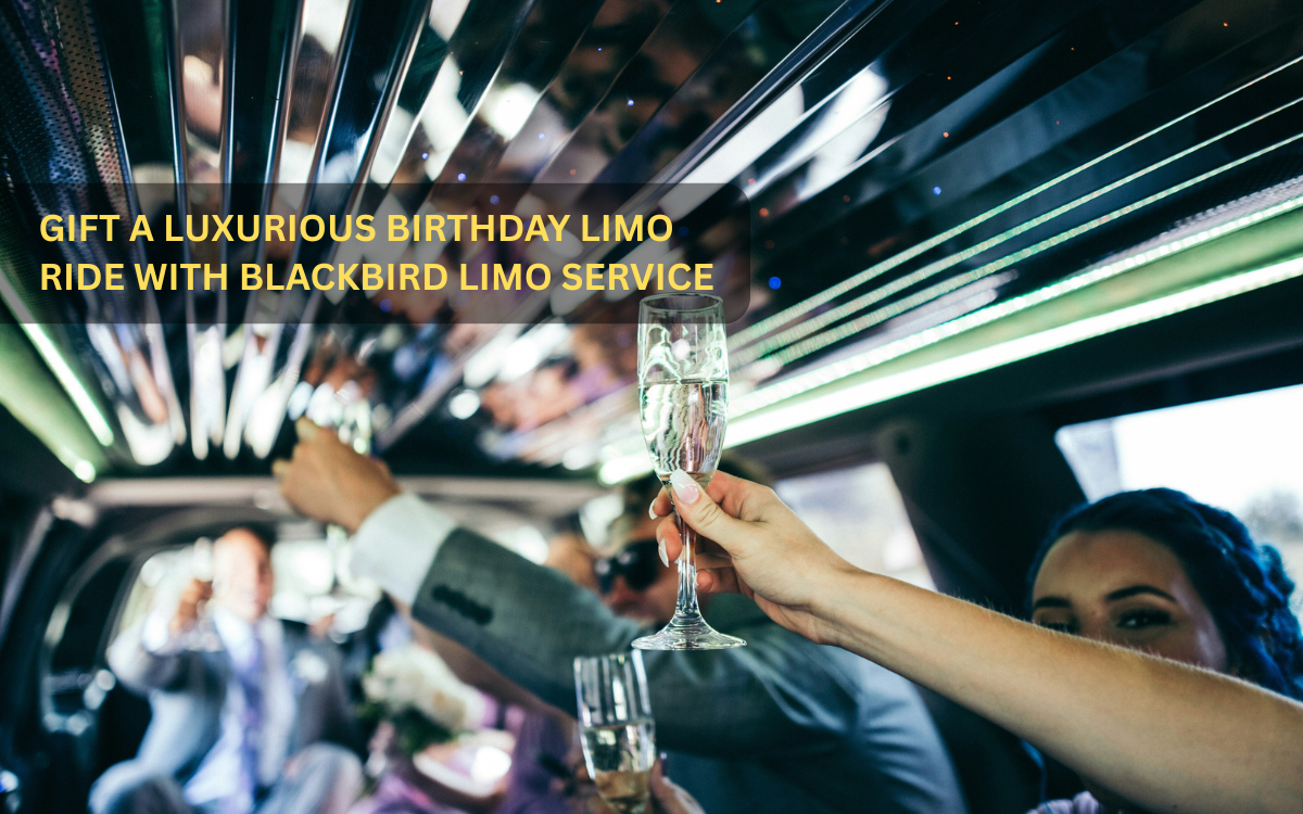 birthday Limousine Service