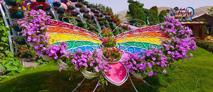 Butterfly Garden Dudai