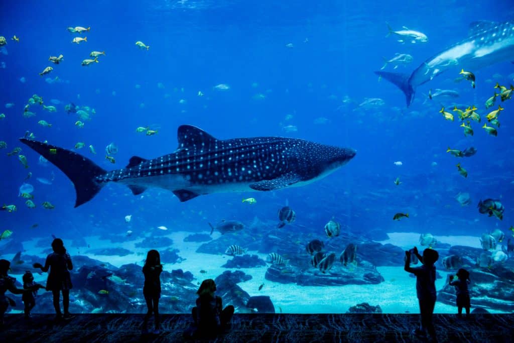 Aquarium On Coney Island