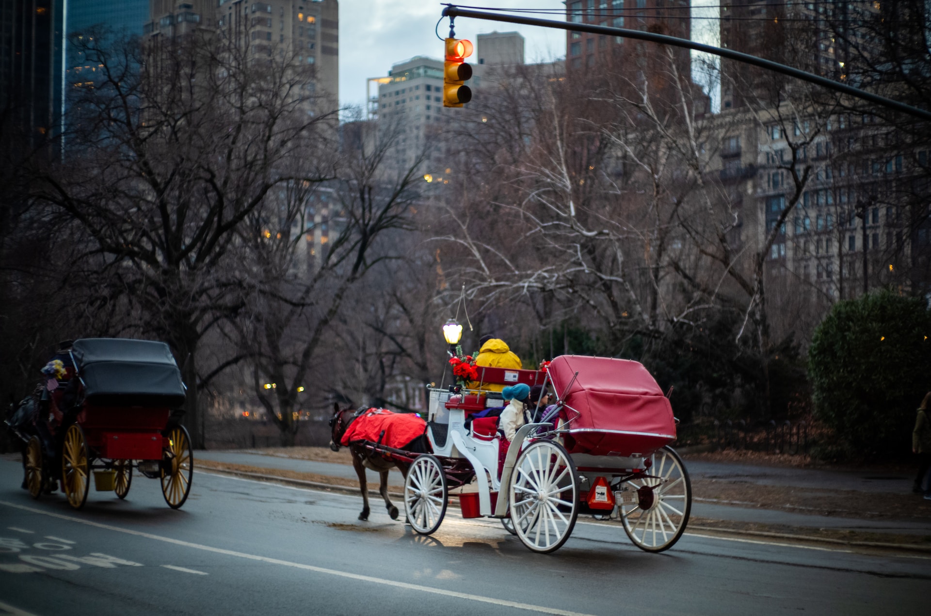 Horse-Drawn Carriage Ride Through Central Park